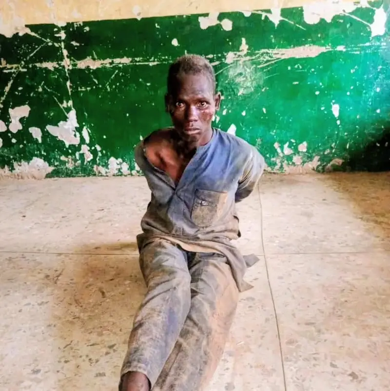 Troops foil bandits’ attack, recover 147 livestock on Kano-Katsina border