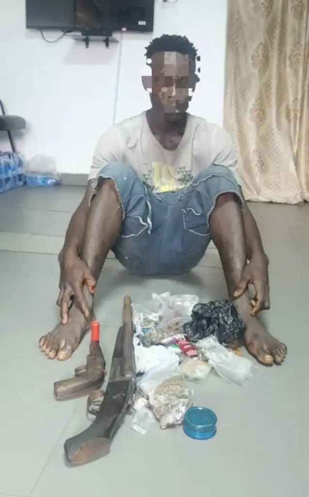 Police nab suspect, recover firearms in Lagos