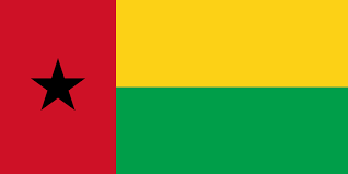 Guinea-Bissau to vote on constitution expanding presidential powers