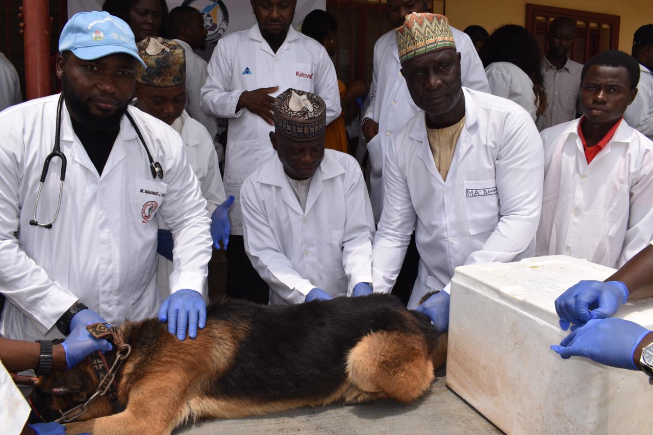 FCTA begins 2-week mass rabies vaccination across Abuja Wednesday