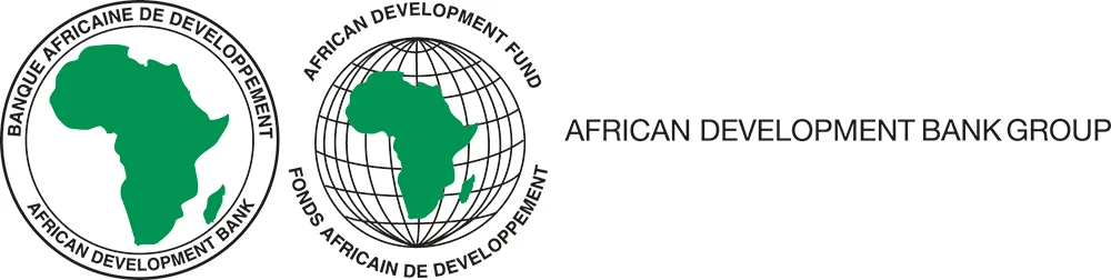 AfDB, partners equip African public servants with free AI skills 