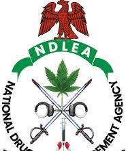 World Mental Health Day: NDLEA, expert advocate early intervention to tackle drug abuse