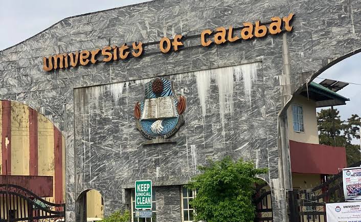 UniCal dons make 2026 global top 2% scientists list